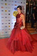 michelle poonawala at MAMI Film Festival 2016 on 20th Oct 2016